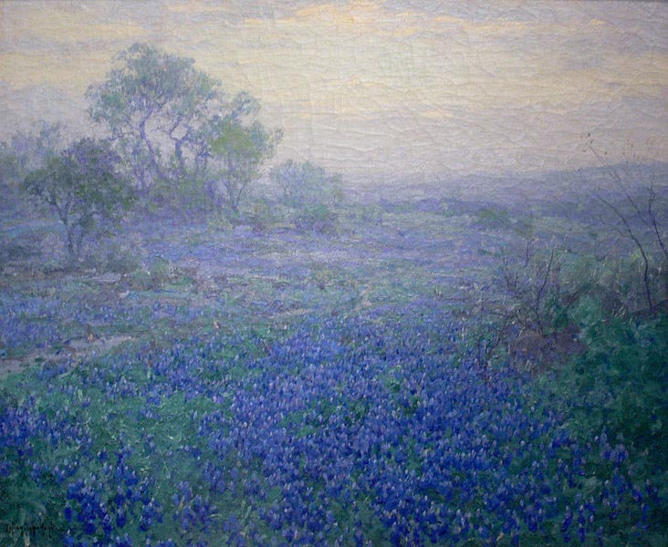 Cloudy Day. Bluebonnets near San Antonio, Texas